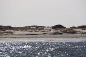 Cape Henlopen State Park