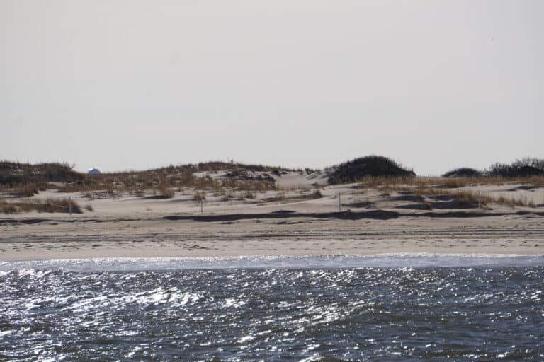 Cape Henlopen State Park