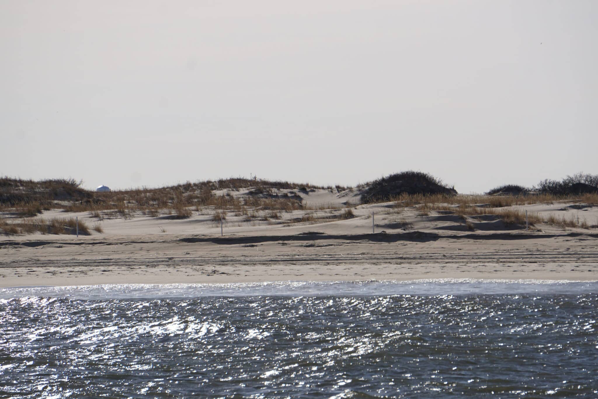 Cape Henlopen State Park